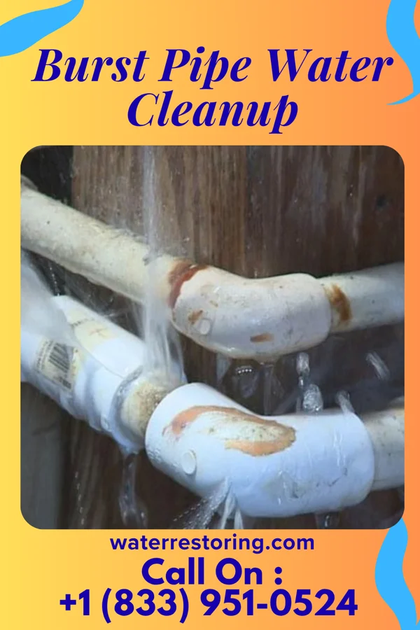 Burst Pipe Water Cleanup in Trent, TX