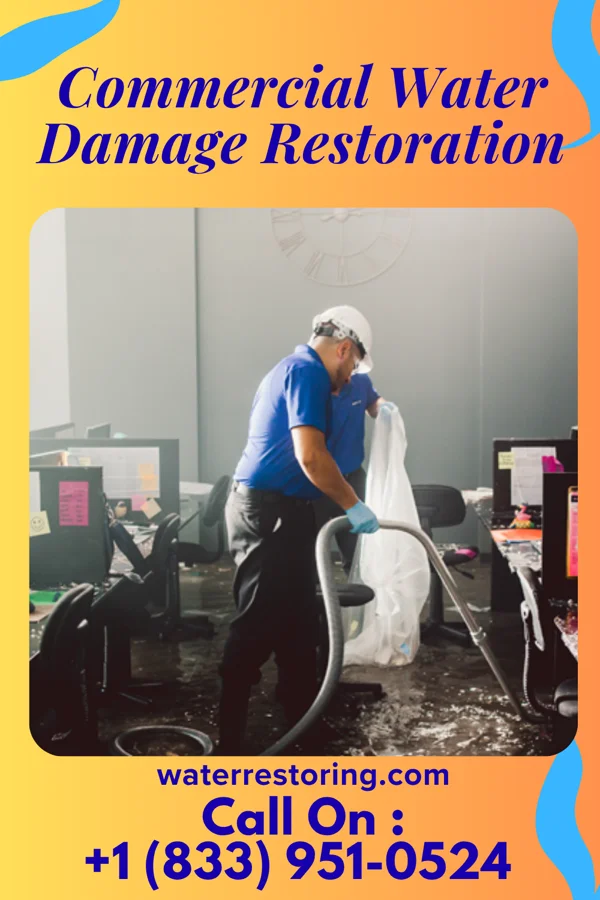 Commercial Water Damage Restoration in Trent, TX