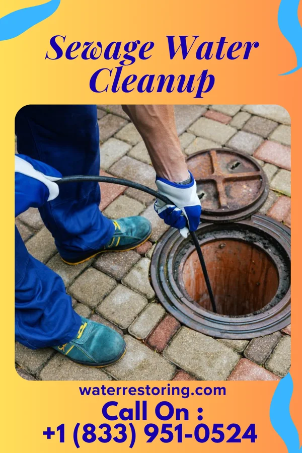 Sewage Water Cleanup in Trent, TX